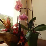 Hotel Les Cevennes 2*