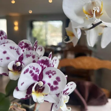 Les Cevennes Hotel