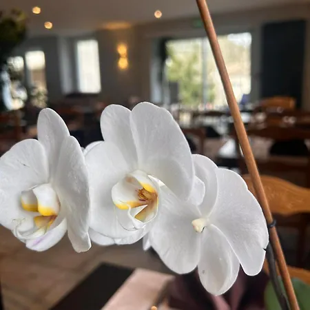 Les Cevennes Hotel 2*